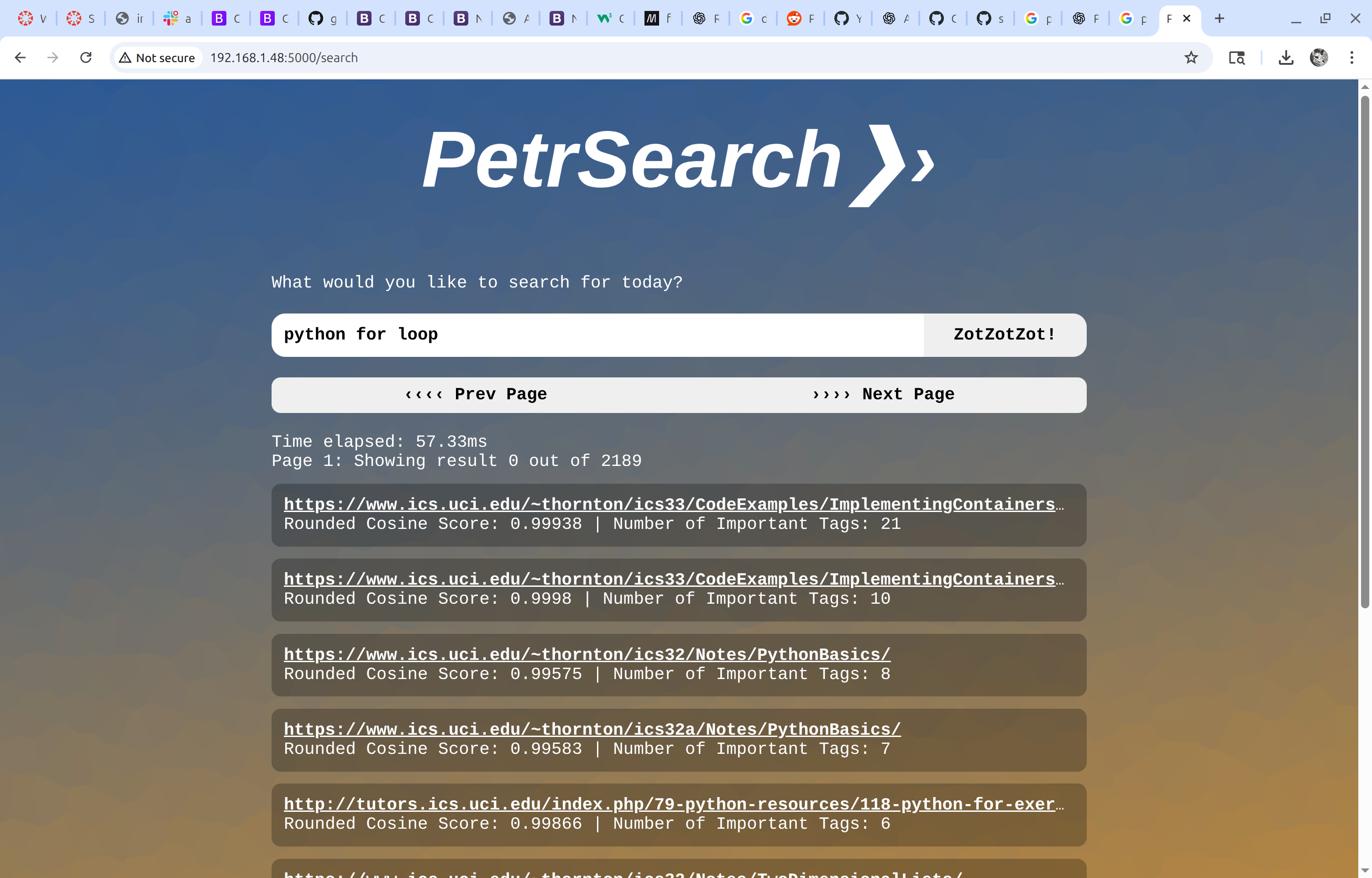 Screenshot of PeterSearch Web UI